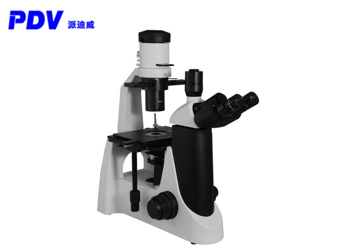 How inverted microscopes work